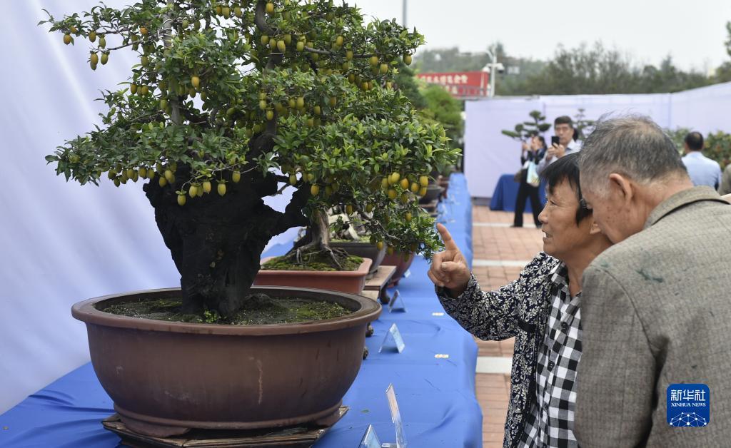 无需充值注册就送68